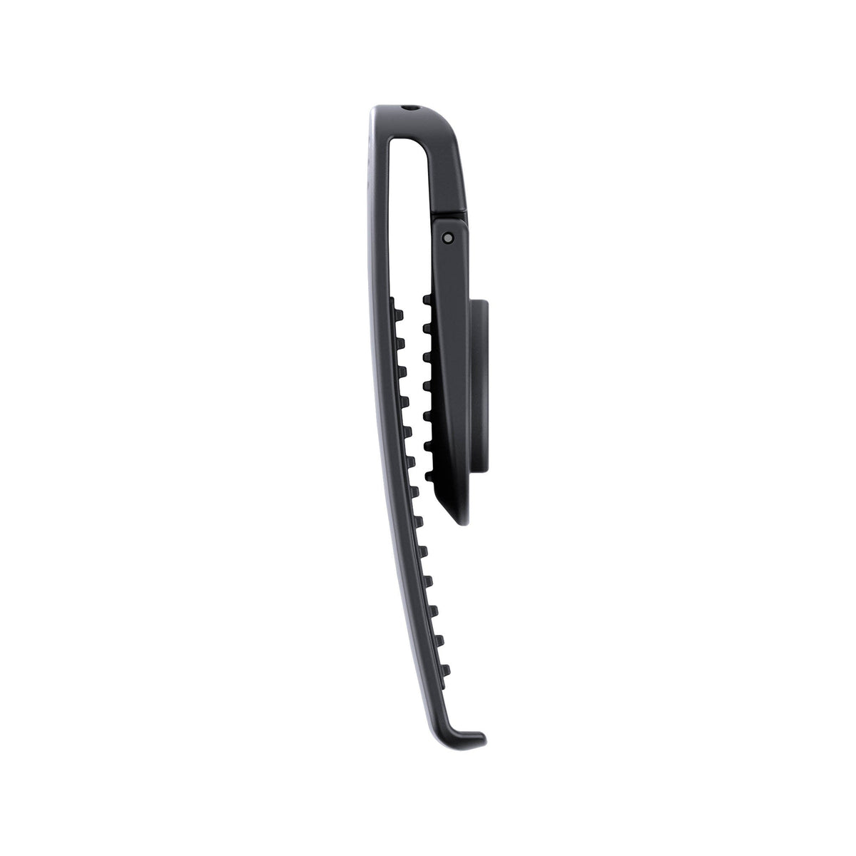 Clip Mount
